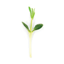 Crane Cress
