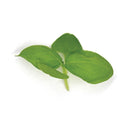 Italian Basil