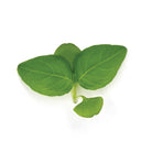 Thai Basil