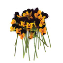 Mix Viola Flowers