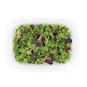 Spicy Microgreens Mix