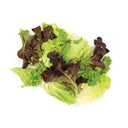 Mix Lettuce