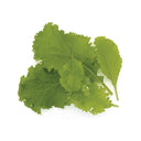 Wasabi Mustard Leaves