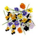 Mix Edible Flowers • Fresh and Colourful