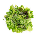 Mix Lettuce With Broccoli
