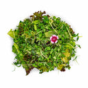 Asian Salad With Microgreens