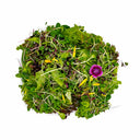 Rainbow Salad With Microgreens