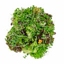 Savoury Salad With Microgreens